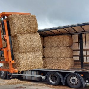 Camion de Miscanthus
